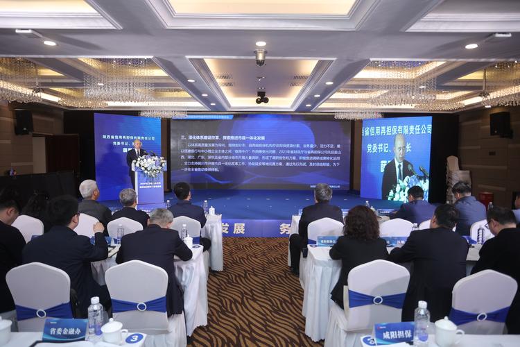 2024陕西省政府性融资担保体系业务推进会召开 助推实体经济高质量发展与再担保业务深化
